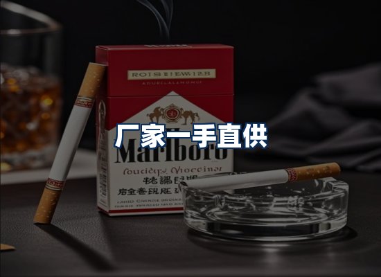 专业团队办公环境